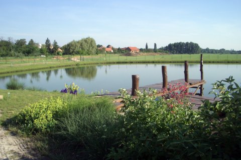 Areál trávníkové školky v Kobylnicích